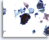 Click to enlarge Image 4