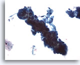 Click to enlarge Image 5