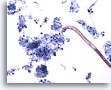Click to enlarge Image 3