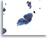Click to enlarge Image 5