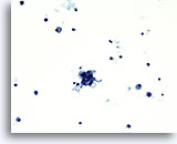 Click to enlarge Image 2