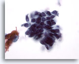 Click to enlarge Image 5