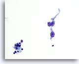 Click to enlarge Image 5