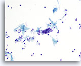 Click to enlarge Image 5