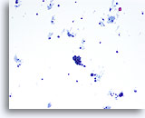 Click to enlarge Image 2