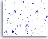 Click to enlarge Image 2