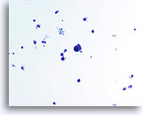 Click to enlarge Image 2