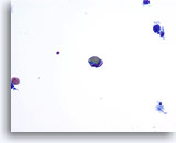Click to enlarge Image 2