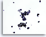 Click to enlarge Image 3