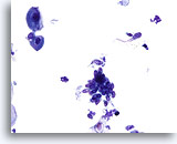 Click to enlarge Image 2