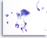 Click to enlarge Image 2