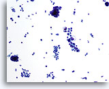 Click to enlarge Image 2