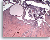 Click to enlarge Image 2