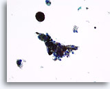 Click to enlarge Image 2