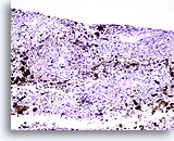 Click to enlarge Image 5