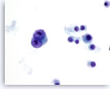 Click to enlarge Image 5