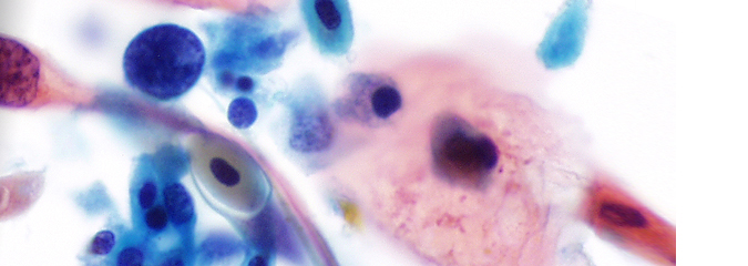 CytologyStuff