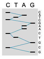 Manual Sequence Analysis